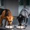 Show in main carousel: Iconic Pet Stainless Steel Non-Skid Dog & Cat Bowl, 2 count, 4-cup slide 7 of 10