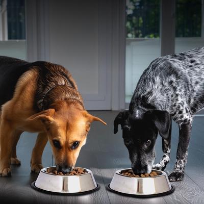 Show full view: Iconic Pet Stainless Steel Non-Skid Dog & Cat Bowl, 2 count, 4-cup slide 7 of 10