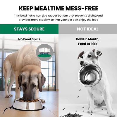 Show full view: Iconic Pet Stainless Steel Non-Skid Dog & Cat Bowl, 2 count, 8-cup slide 5 of 10