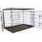 Show in main carousel: Iconic Pet Sturdy Foldable Double Door Dog & Cat Crate, 24-in slide 1 of 7