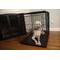 Show in main carousel: Iconic Pet Sturdy Foldable Double Door Dog & Cat Crate, 24-in slide 2 of 7