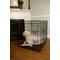 Show in main carousel: Iconic Pet Sturdy Foldable Double Door Dog & Cat Crate, 24-in slide 4 of 7