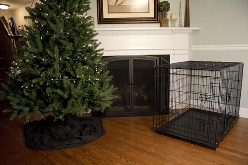 Show full view: Iconic Pet Sturdy Foldable Double Door Dog & Cat Crate, 24-in slide 5 of 7