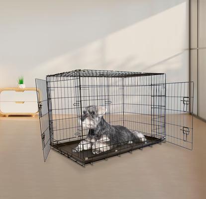 Show full view: Iconic Pet Sturdy Foldable Double Door Dog & Cat Crate, 24-in slide 3 of 7