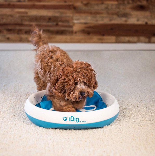iFetch iDig Stay Dog Toy, Blue