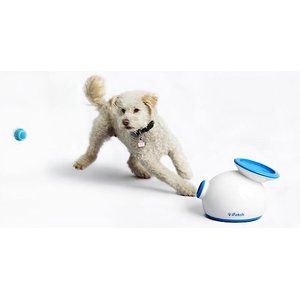 iFetch Tennis Balls, Mini, 5 Pack