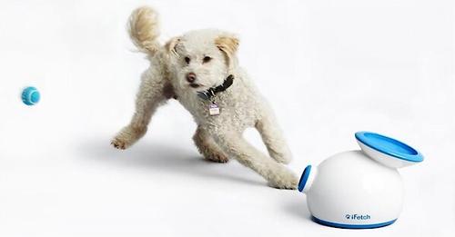 Show full view: iFetch Tennis Balls, Mini, 5 Pack slide 4 of 10