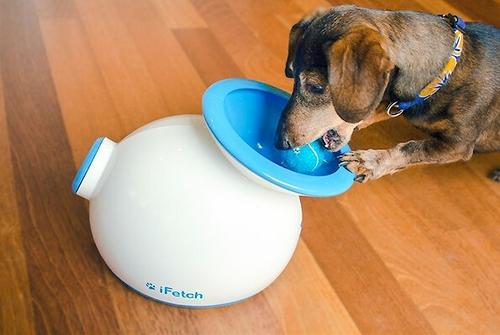 Show full view: iFetch Tennis Balls, Mini, 5 Pack slide 5 of 10