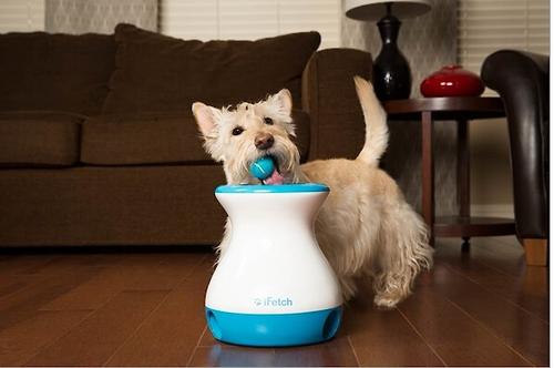 Show full view: iFetch Tennis Balls, Mini, 5 Pack slide 6 of 10