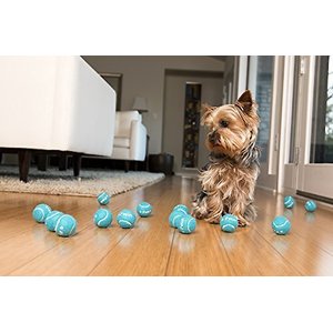 iFetch Tennis Balls, Mini, 5 Pack