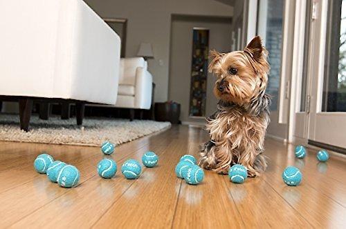 Show full view: iFetch Tennis Balls, Mini, 5 Pack slide 7 of 10