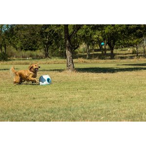 iFetch Tennis Balls, Standard, 3 Pack