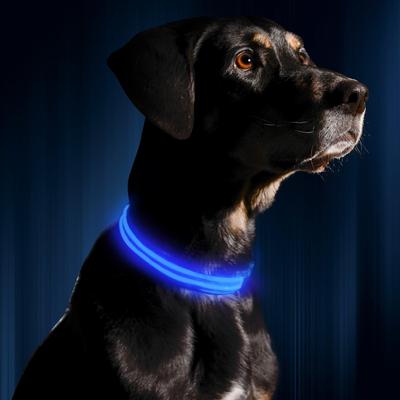 Show full view: Illumiseen LED USB Rechargeable Nylon Dog Collar, Blue, Medium: 16 to 20-in neck slide 3 of 10