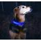 Show in main carousel: Illumiseen LED USB Rechargeable Nylon Dog Collar, Blue, Medium: 16 to 20-in neck slide 4 of 10