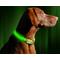 Show in main carousel: Illumiseen LED USB Rechargeable Nylon Dog Collar, Green, Large: 19 to 24-in neck slide 4 of 10