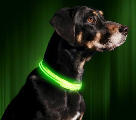 Show full view: Illumiseen LED USB Rechargeable Nylon Dog Collar, Green, Large: 19 to 24-in neck slide 5 of 10