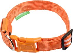 Illumiseen LED USB Rechargeable Nylon Dog Collar, Orange, Large: 19 to 24-in neck