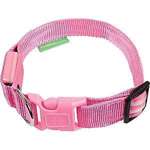 Illumiseen LED USB Rechargeable Nylon Dog Collar, Pink, Large: 19 to 24-in neck