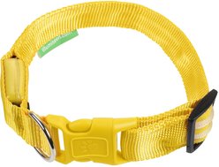 Illumiseen LED USB Rechargeable Nylon Dog Collar, Yellow, Large: 19 to 24-in neck