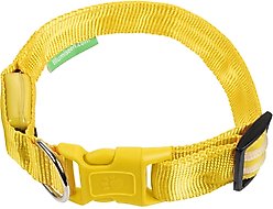 Illumiseen LED USB Rechargeable Nylon Dog Collar, Yellow, Medium: 16 to 20-in neck