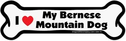Imagine This Company Bone Magnet, Bernese Mountain Dog