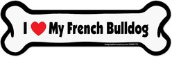 Imagine This Company Bone Magnet, French Bulldog