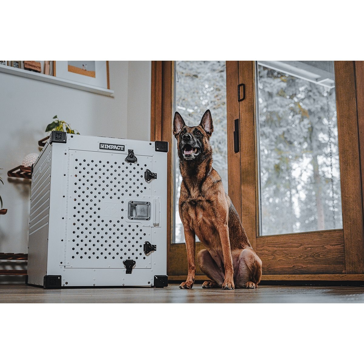 Impact Dog Crates High Anxiety Single Door Aluminum Dog Crate, Gray, 30 inch