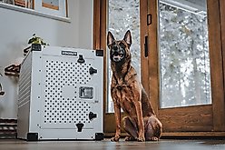 Impact Dog Crates High Anxiety Single Door Aluminum Dog Crate, Gray, 48 inch