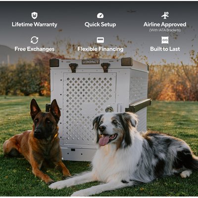 Impact Dog Crates Impact Dog Crates Single Door Collapsible Aluminum Dog Crate, Gray, 30 inch
