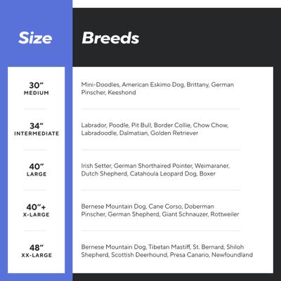 Show full view: Impact Dog Crates Single Door Collapsible Aluminum Dog Crate, Gray, 30 inch slide 7 of 9