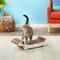 Show in main carousel: Imperial Cat Dalmatian Cat Scratching Board, Large slide 3 of 8