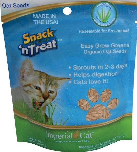 Imperial Cat Easy Grow Cat Oat Grass Seeds, 4-oz bag