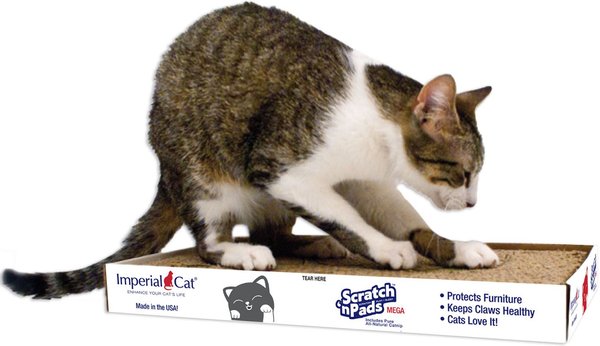 Show full view: Imperial Cat Scratch'n Pad Cat Scratcher, Mega slide 2 of 10