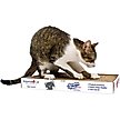 Show in main carousel: Imperial Cat Scratch'n Pad Cat Scratcher, Mega slide 2 of 10