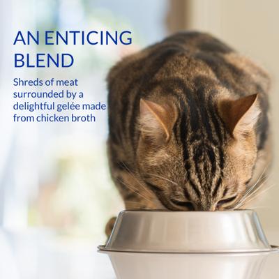 Show full view: Inaba Churu Stew Chicken & Tuna Variety Cat Lickable Treat, 1.4-oz pouch, 12 count slide 6 of 10