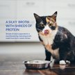 Show in main carousel: Inaba Churu Broth Chicken Variety Cat Lickable Treat, 1.4-oz pouch, 12 count slide 6 of 10