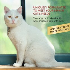 Inaba Churu for Senior 10+ Tuna Recipe Lickable Cat Treats, 0.5-oz tube, 4 count slide 2 of 6