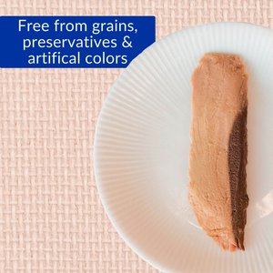 Inaba Extra Tender Grilled Tuna Fillet in Tuna Broth Grain-Free Cat Treats, .52oz pouch, 6ct