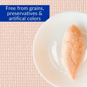 Inaba Grilled Chicken Fillet in Chicken Flavored Broth Grain-Free Cat Treat, .9oz pouch, 6ct