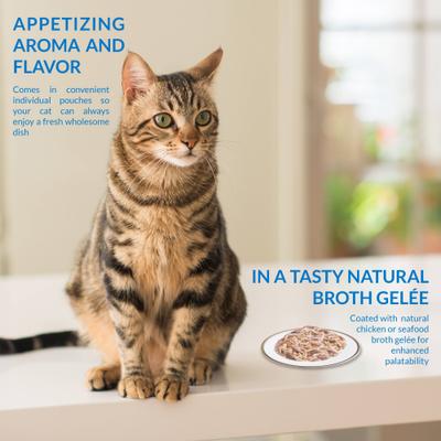 Show full view: Inaba Twin Packs Chicken Recipe in Chicken Broth Grain-Free Cat Food Topper, 1.4-oz pouch, 2 count slide 4 of 8