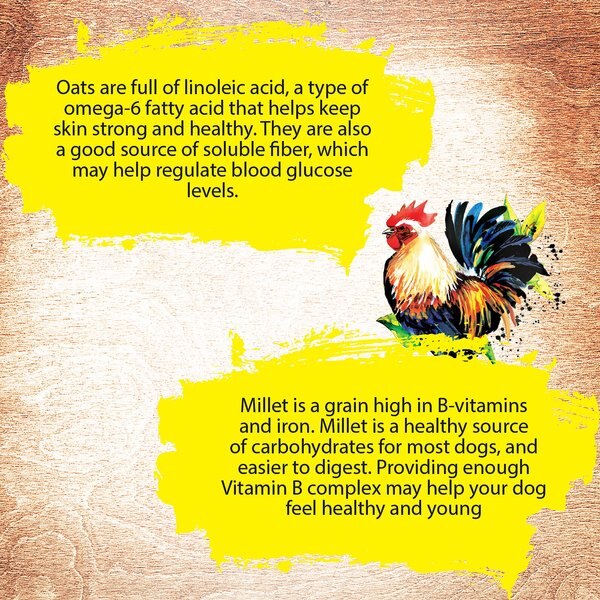 INCEPTION Chicken Recipe Dry Dog Food, 4-lb bag - Chewy.com