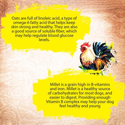 Show full view: Inception Chicken Recipe Dry Food, 27-lb bag + Soft & Chewy Dog Treats, 4-oz bag slide 5 of 6