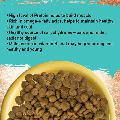 Show full view: Inception Fish Recipe Dry Dog Food, 4-lb bag slide 4 of 10