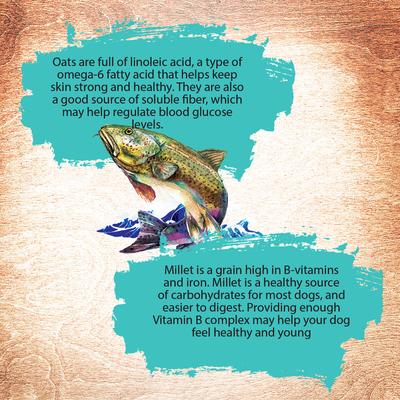 Show full view: Inception Fish Recipe Dry Dog Food, 4-lb bag slide 5 of 10