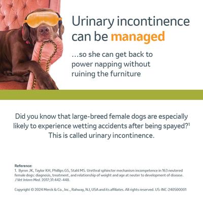 Show full view: Incurin (Estriol) Tablets for Dogs, 1-mg, 90 tablets slide 6 of 10