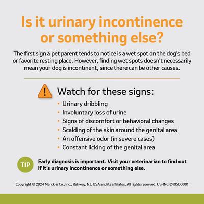 Show full view: Incurin (Estriol) Tablets for Dogs, 1-mg, 90 tablets slide 5 of 10