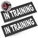 Industrial Puppy Dog In Training Patches, 2 count, Large