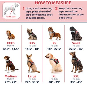 Industrial Puppy Emotional Support Animal ESA Reflective Dog Harness & Leash, Red, Large: 27 to 33.5-in chest