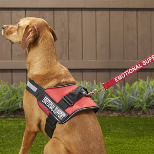 Industrial Puppy Emotional Support Animal ESA Reflective Dog Harness & Leash, Red, Large: 27 to 33.5-in chest