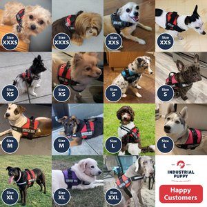 Industrial Puppy Emotional Support Animal ESA Reflective Dog Harness & Leash, Red, Medium: 24 to 29-in chest